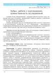 Зубры: работа с группировкой, преемственность исследований