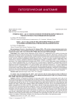 Уровень CD45+-, CD3+-клеток в печени при физической активности разной степени и после введения мельдония