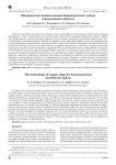 Минералогия медных шлаков Кировградского завода (Свердловская область)