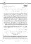 Фразеологические неологизмы как языковые единицы с пограничным статусом: к вопросу о лексикографировании