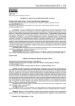 Артефакты и ценности российской деловой культуры