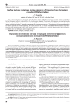Carbon isotope variations during ontogeny of Frasnian (Late Devonian) conodont Mehlina gradata