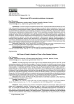 Мягкая сила КНР в российско-китайских отношениях