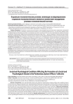 Социально-психологические условия, влияющие на формирование социально-психологического климата в коллективе сотрудников уголовно-исполнительной системы