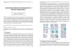 Information retrieval and analysis for a modern organization