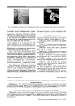 Вентральные вмешательства при повреждениях грудо-поясничного отдела позвоночника