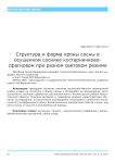Структура и форма кроны сосны в осушенном сосняке кустарничко-восфагновом при разном световом режиме
