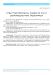 Структура биомассы подроста ели в разновозрастных березняках