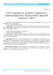 Рост и развитие елового подроста в разновозрастных березняках средней подзоны тайги