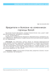Вредители и болезни на семенниках горчицы белой