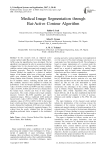 Medical Image Segmentation through Bat-Active Contour Algorithm