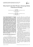 Mixed QoS Controlled Wireless Streaming Media Transmission Strategy