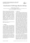 Classification of SAR Images Based on Entropy