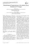 Morphological Segmentation of the Spleen From Abdominal CT Images