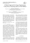 A Hybrid Approach for Image Segmentation Using Fuzzy Clustering and Level Set Method