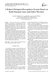 A Robust Palmprint Recognition System Based on Both Principal Lines and Gabor Wavelets