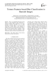 Texture Features based Blur Classification in Barcode Images