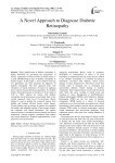 A Novel Approach to Diagnose Diabetic Retinopathy