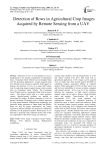 Detection of Rows in Agricultural Crop Images Acquired by Remote Sensing from a UAV