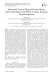 Horizontal vertical diagonal Gabor binary pattern descriptor with PLDA for pose-invariant face recognition