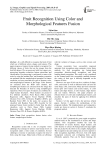 Fruit recognition using color and morphological features fusion