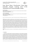 Fetal Brain Planes Classification Using Deep Ensemble Transfer Learning from U-Net Segmented Fetal Neurosonography Images