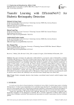 Transfer Learning with EfficientNetV2 for Diabetic Retinopathy Detection