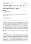 Denoising of Non-Small Cell Lung Cancer CT-scans through Fractional Fourier Transform for a Non-invasive Diagnostic Model