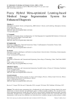 Fuzzy Hybrid Meta-optimized Learning-based Medical Image Segmentation System for Enhanced Diagnosis