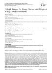 Hybrid System for Image Storage and Retrieval in Big Data Environments
