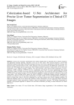 Colorization-based U-Net Architecture for Precise Liver Tumor Segmentation in Clinical CT Images