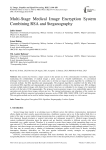 Multi-Stage Medical Image Encryption System Combining RSA and Steganography