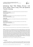 Identifying Dark Web Hidden Services with Novel Image Classes Using CNN and Quantum Transfer Learning