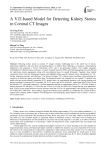 A ViT-based Model for Detecting Kidney Stones in Coronal CT Images
