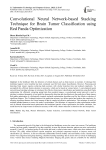 Convolutional Neural Network-based Stacking Technique for Brain Tumor Classification using Red Panda Optimization