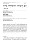 Semantic Segmentation of Tuberculosis Bacilli from Microscopic Sputum Smear Images Using TransUNet