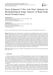 Fuzzy-Enhanced U-Net with Dual Attention for Histopathological Image Analysis in High Grade Serous Ovarian Cancer