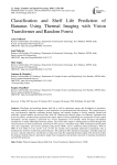 Classification and Shelf Life Prediction of Bananas Using Thermal Imaging with Vision Transformer and Random Forest