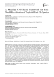 A Modified CNN-Based Framework for Real- World Identification of Tephritid Fruit Fly Species