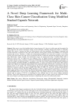 A Novel Deep Learning Framework for Multi-Class Skin Cancer Classification Using Modified Stacked Capsule Network