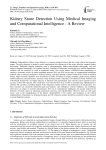 Kidney Stone Detection Using Medical Imaging and Computational Intelligence - A Review