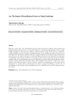 The Impact of Desertification Process on Natural Landscape