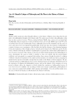 Al-Ghazali's Critique of Philosophy and His Place in the History of Islamic Science