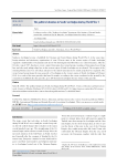 The political situation in South Azerbaijan during World War I
