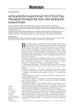 Межцивилизационные пространства: промежуточный регион или великий лимитроф?