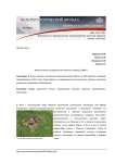 Археологические исследования Пустозерского городища в 2014 г.