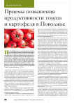 Приемы повышения продуктивности томата и картофеля в Поволжье
