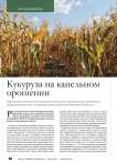 Кукуруза на капельном орошении