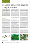 Болезни столовой свеклы и меры защиты