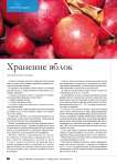 Хранение яблок